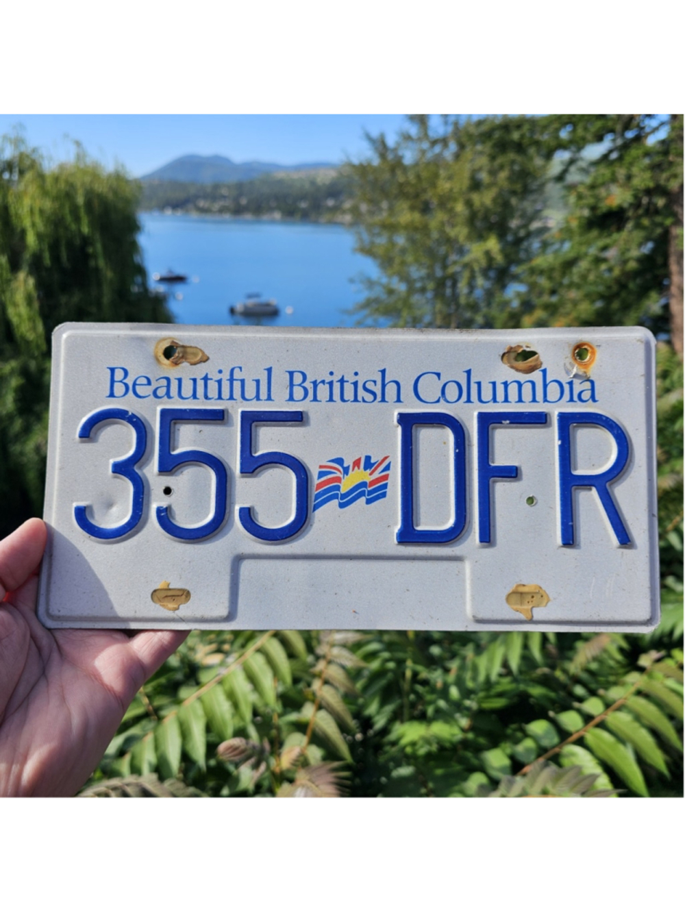 Vintage British Columbia License Plate 355 DFR BC Canada Beautiful British...